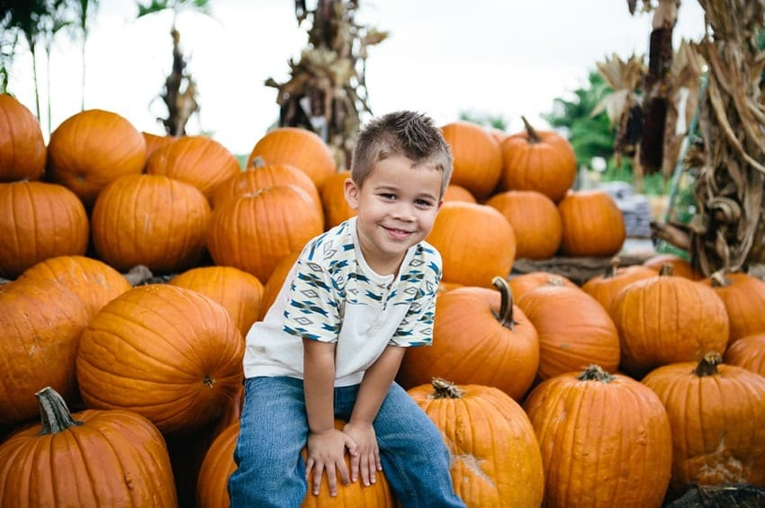 pumpkin patch miami family session