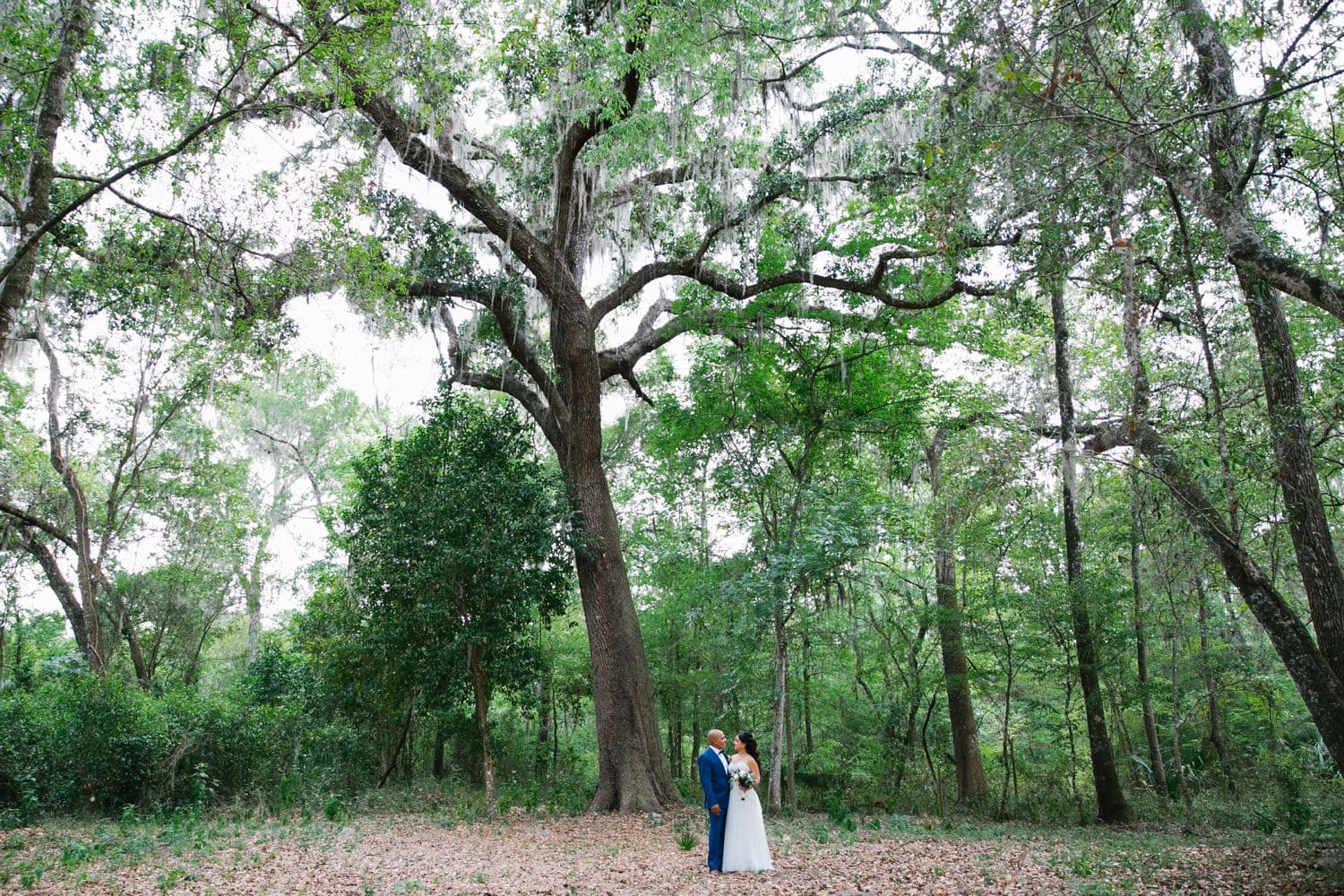 This first look at October Oaks Farm was adorable. Rustic Chic Wedding