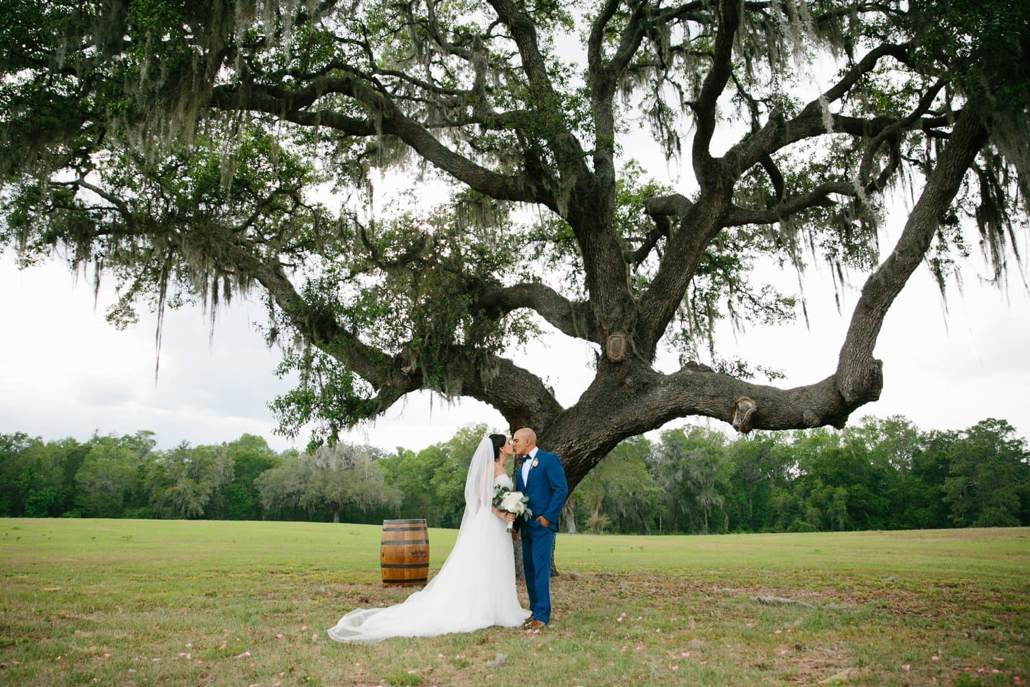 Bride and Groom portrait under an Oak tree. October Oaks Wedding